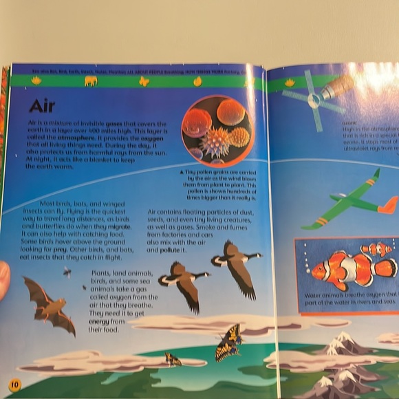 NOT ELIGIBLE FOR BUNDLE SALE  Animals and Nature:Two-Can First Encyclopedia - Picture 11 of 14